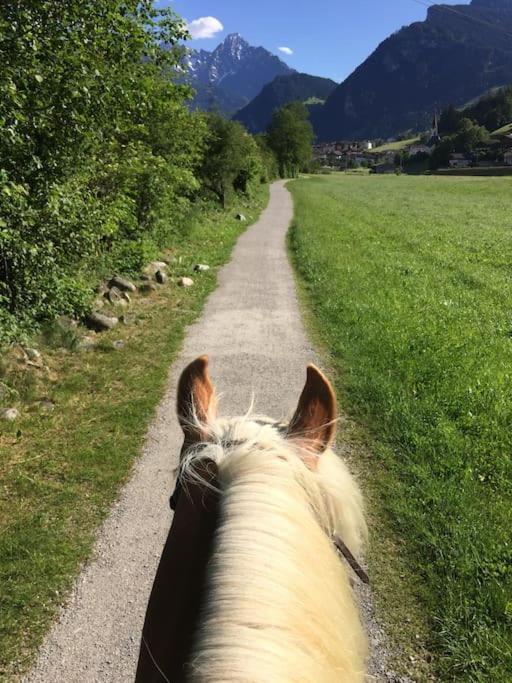 Ferienhaus Zillertal Panorama Blick Balkon Sauna Zellberg Bagian luar foto